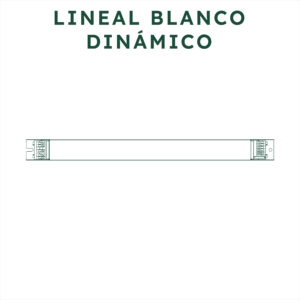 Lineal Blanco Dinámico